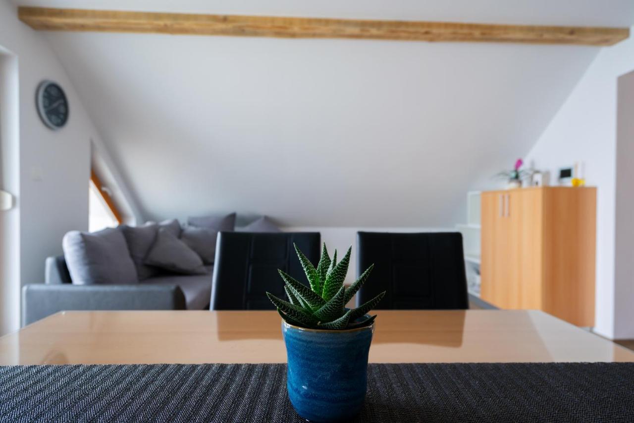 Pjagodic Apartments & Wellness ツェルクニェ・ナ・ゴレニスケム エクステリア 写真