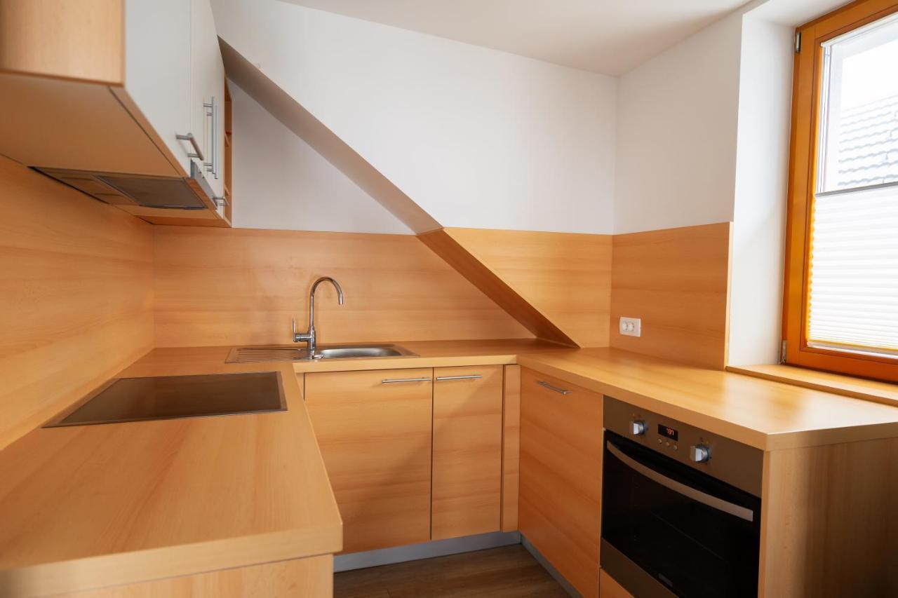 Pjagodic Apartments & Wellness ツェルクニェ・ナ・ゴレニスケム エクステリア 写真